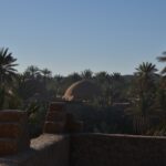 Marokko, Blick von Haus-Terrasse auf Palmen und Kuppeldach des Nachbarhauses